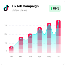 TikTok campaign video views up 89%